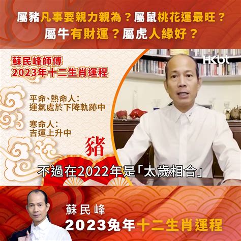 2023虎年佩戴飾物|蘇民峰2023十二生肖兔年增運方法｜加強財運、人緣 